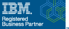 IBM Business Partner